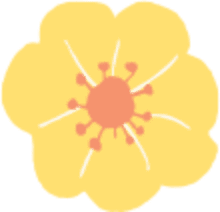 黄色い花